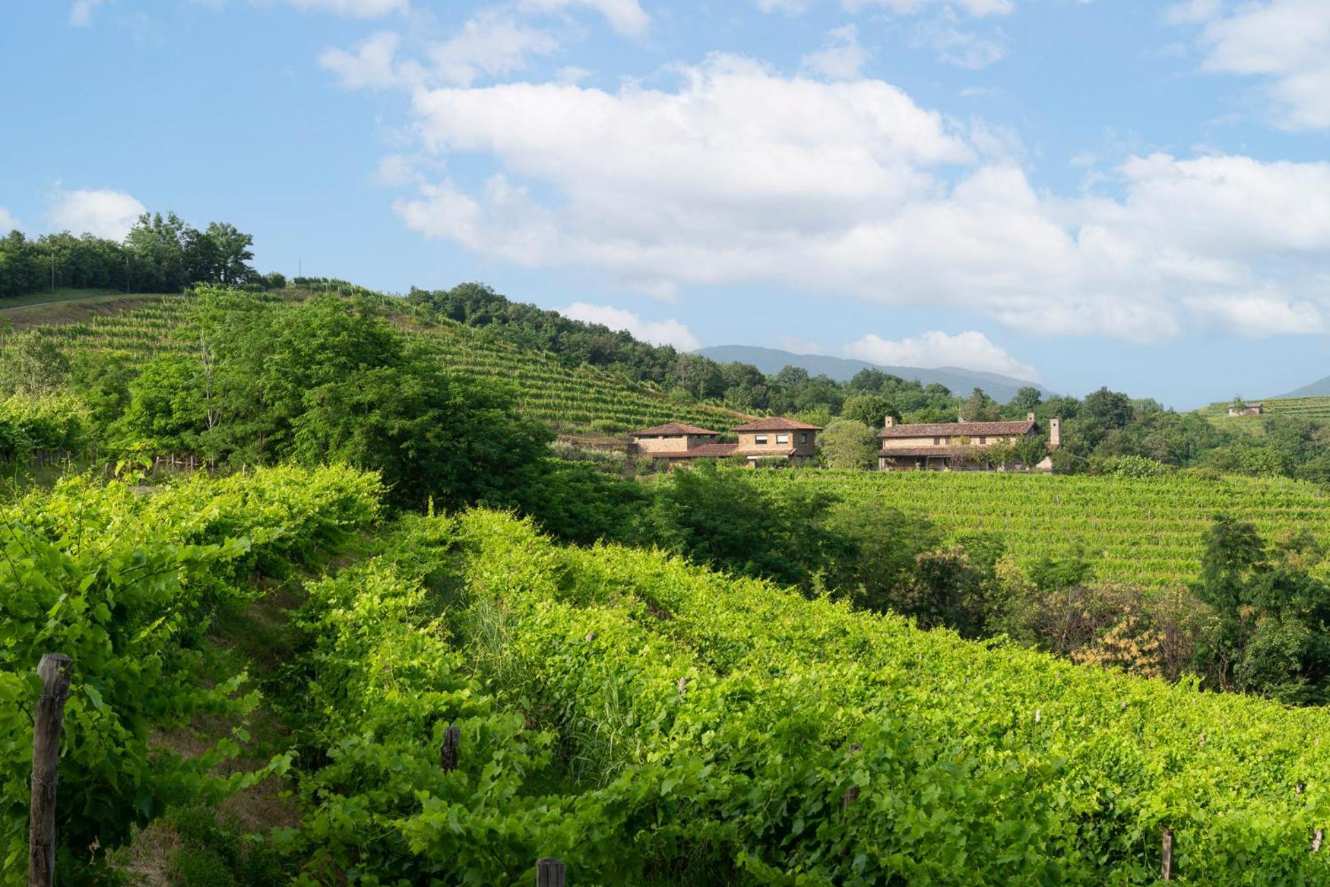 Villa Lis Fadis Wine Relais Cividale del Friuli Esterno foto